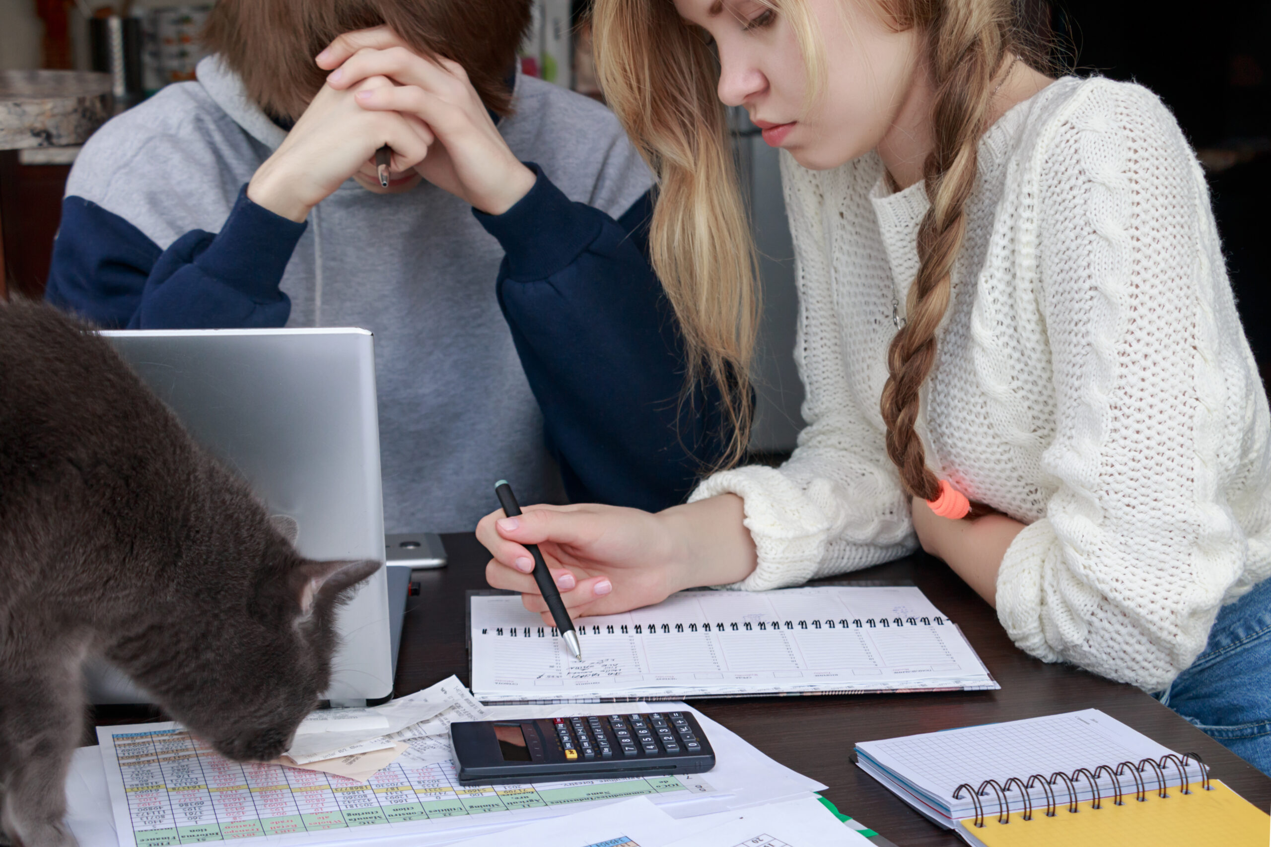 Spring Cleaning and Organizing Your Personal finances